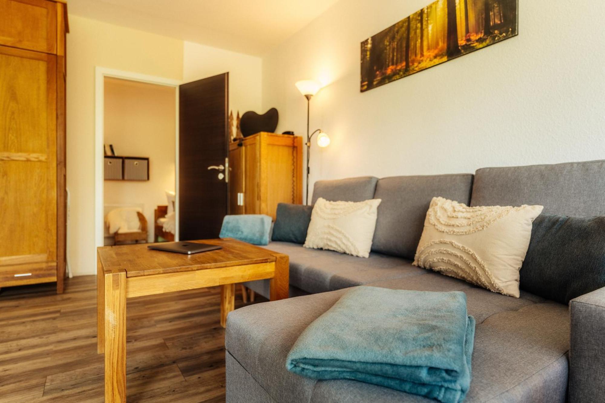 Apartment Harzglanz Fewo's Harzbock Braunlage